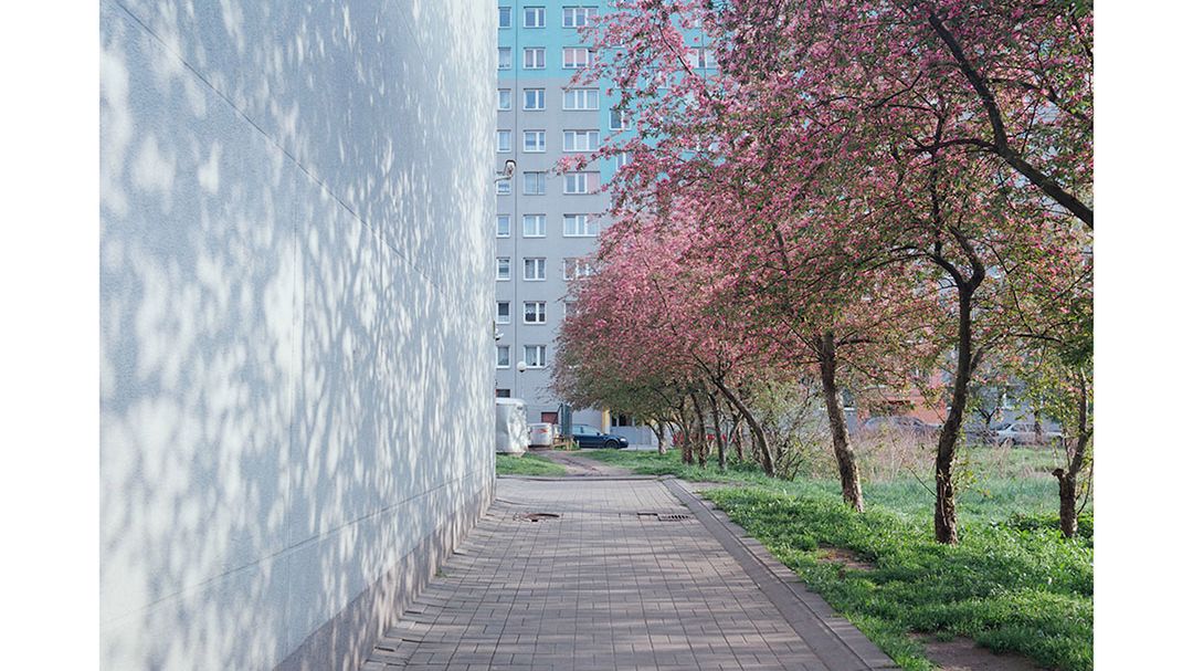 Palimpsest - w poszukiwaniu dawnych niemieckich cmentarzy w Polsce 1