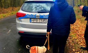 25-latka zgubiła się na grzybach. Uratowała ją jedna rzecz