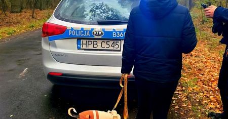 25-latka zgubiła się na grzybach. Uratowała ją jedna rzecz