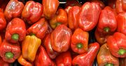 Ceny papryki w połowie września. W hurcie i detalu