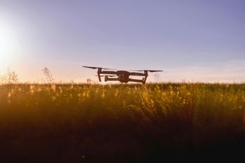 Japonia chroni swoje fermy dronami. Bezzałogowce kontra dzikie ptactwo