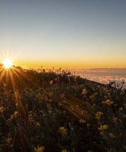 La Palma – dlaczego warto odwiedzić Wyspy Kanaryjskie?