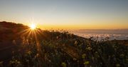 La Palma – dlaczego warto odwiedzić Wyspy Kanaryjskie?