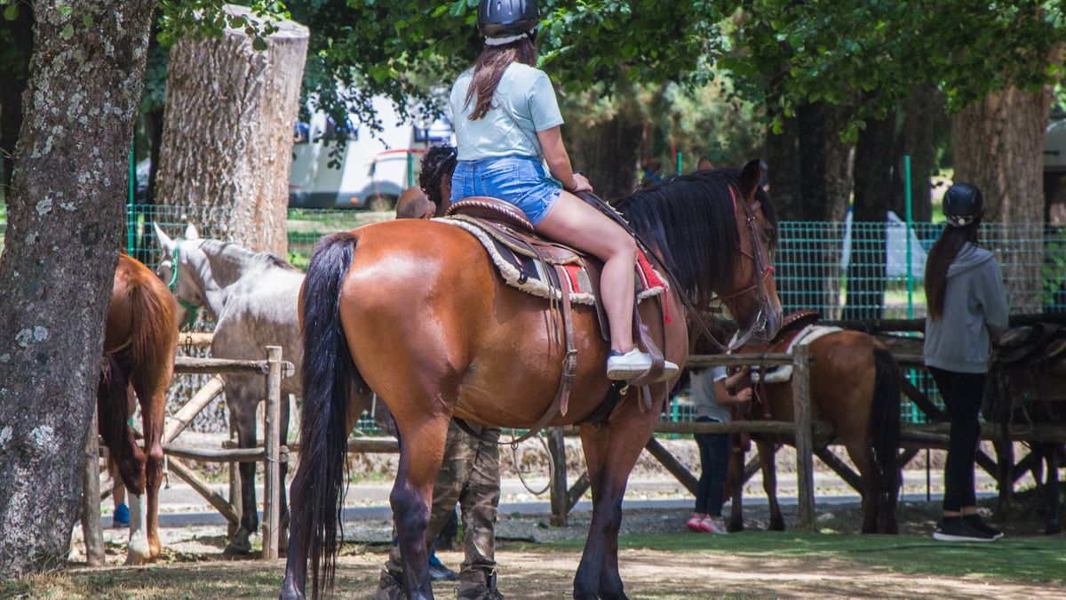 Dramatyczny wypadek w stadninie koni. 13-latka w ciężkim stanie. Zdjęcie ilustracyjne