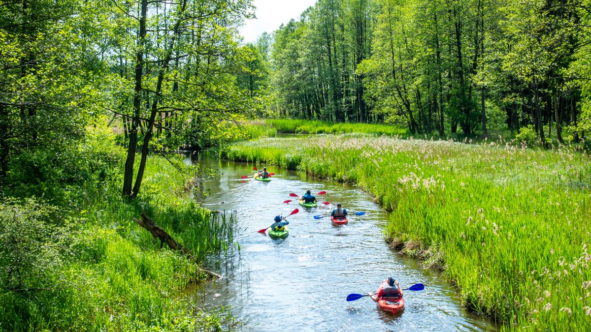 Podlaski Bon Turystyczny powróci 1 września. Zmiany w kwotach