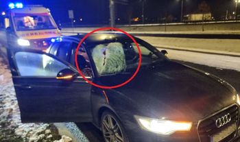 "Dość tolerowania tego na drogach". Mocne słowa o kierowcach TIR-ów