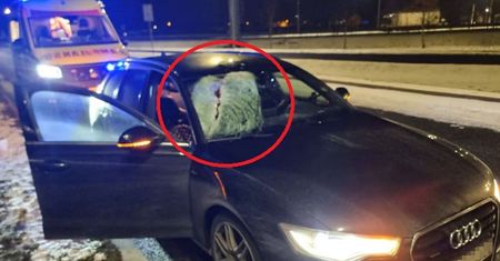 "Dość tolerowania tego na drogach". Mocne słowa o kierowcach TIR-ów