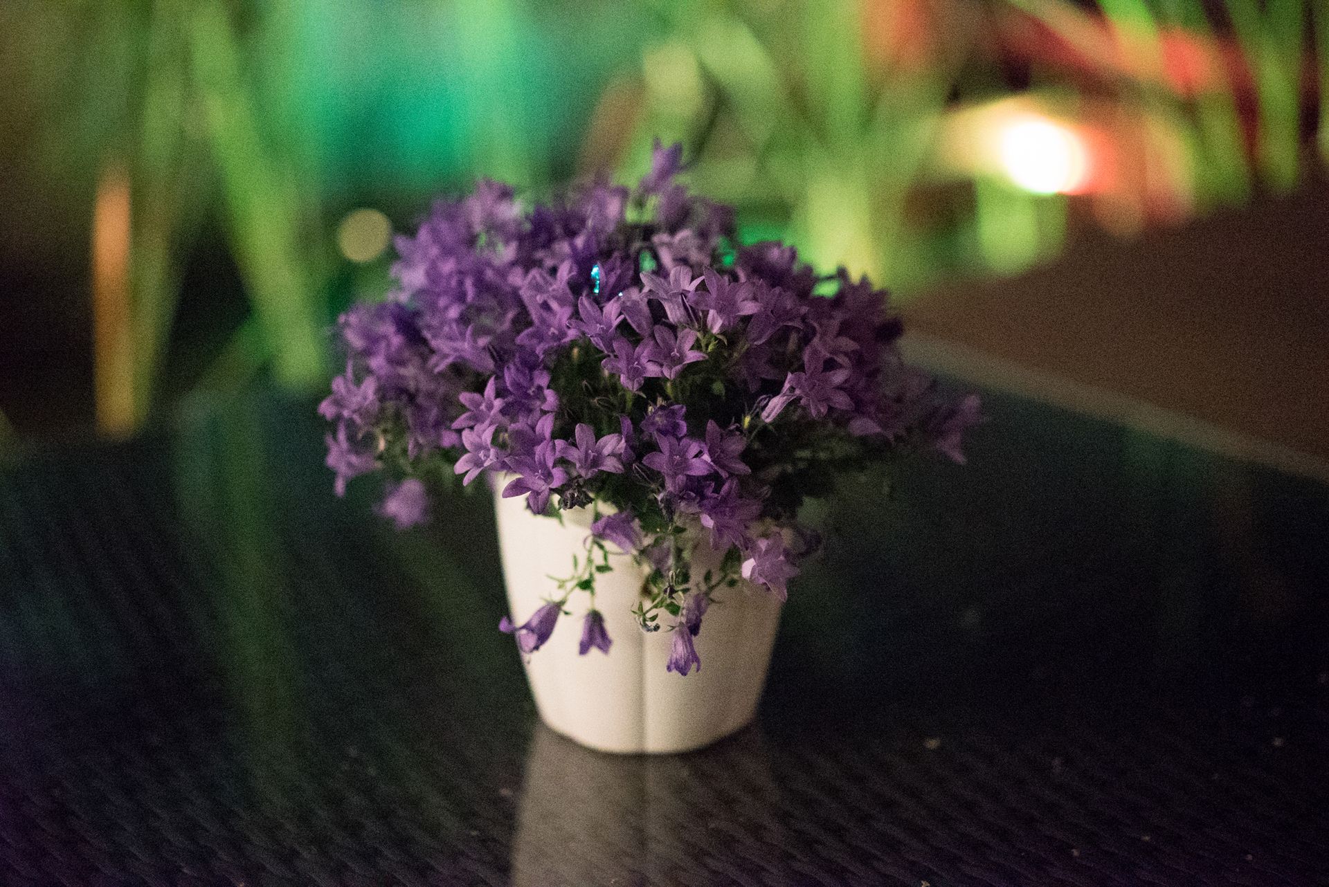 Sony A7S - zdjęcia testowe do ISO 409 600 31