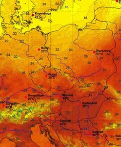 Niewiarygodna temperatura we wrześniu. Są najnowsze alerty IMGW