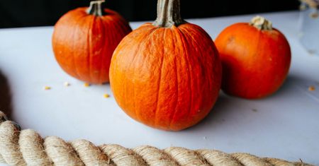 Zoo ogłasza zabawę. Na Halloween przygotuj rzeźbę z dyni