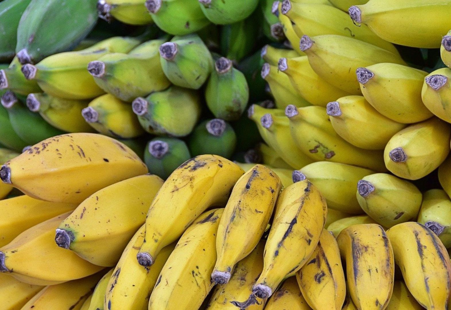 Takich bananów lepiej nie kupuj. To prosta droga do zatrucia