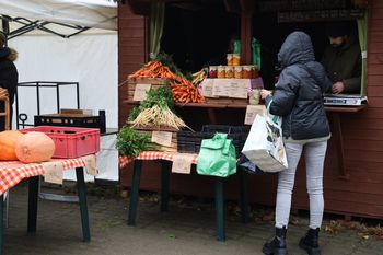 Koszalin: Listopadowy poranek na rynku. Co dostaniemy na stoiskach?