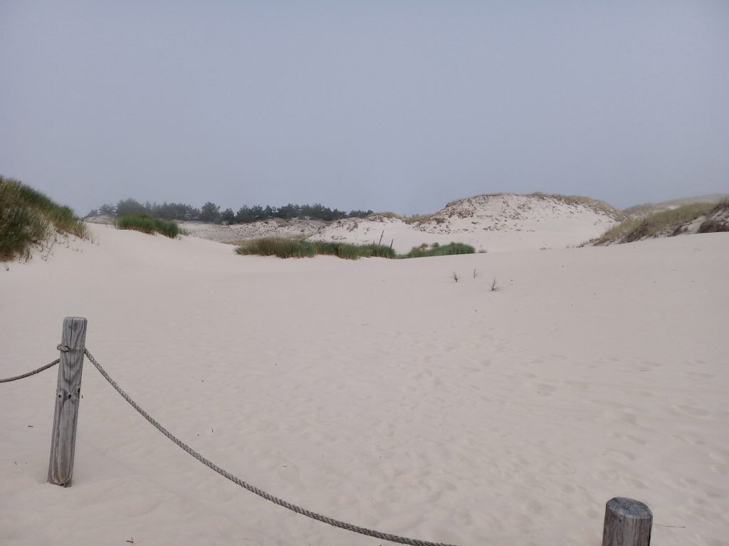 wydma łącka