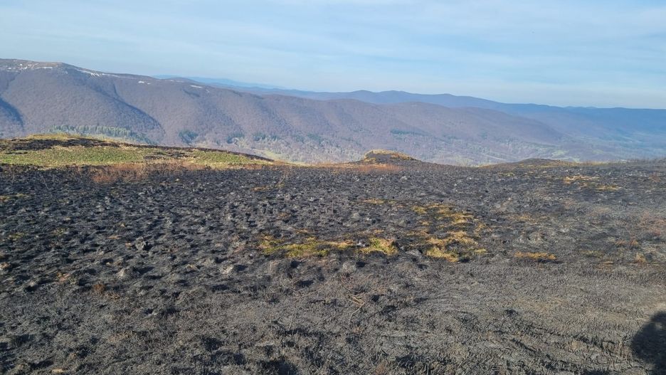 Pożar w Bieszczadach