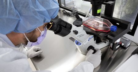 To najbardziej zabójczy rak. Nowy test ułatwi diagnostykę