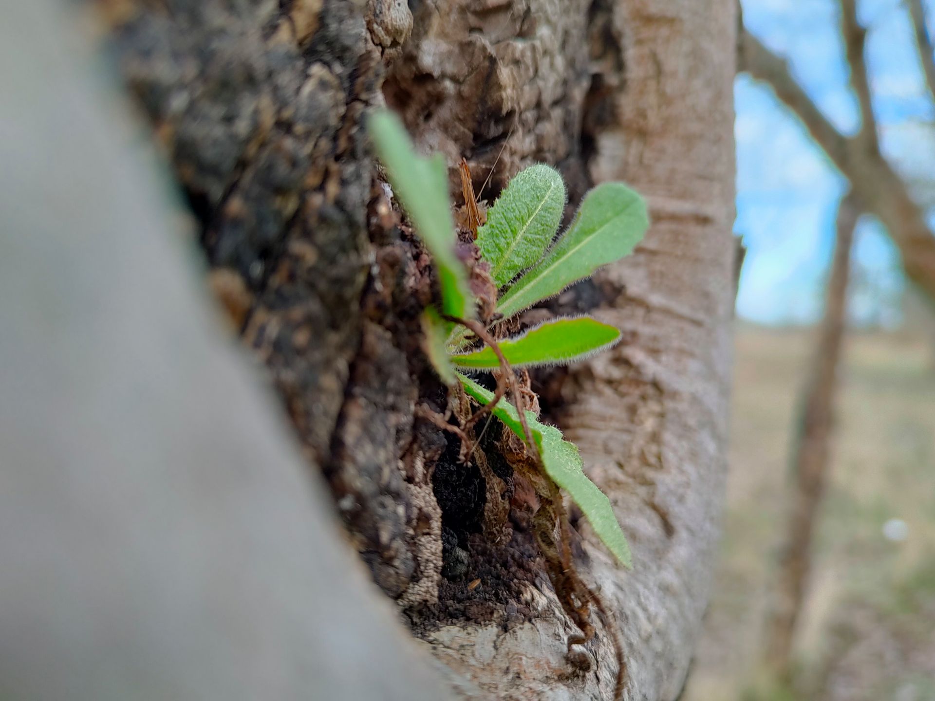 Test najtańszego smartfonu z aparatem 108 Mpix. realme 8 Pro spełnia swoje obietnice 39