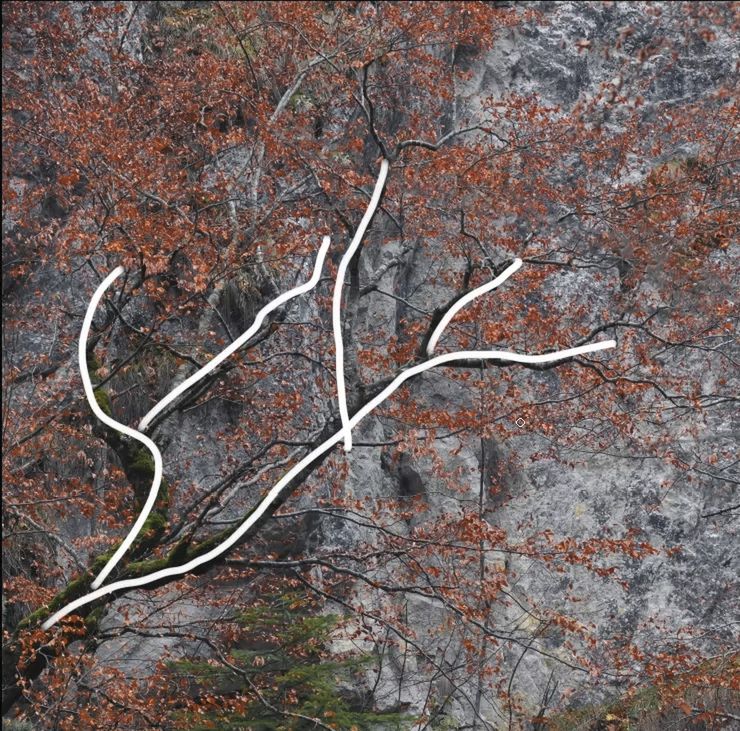 9 porad, które pozwolą ci lepiej komponować zdjęcia krajobrazów 2