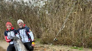 Rybnik: Zawodnicy wyłowili suma giganta– nowy rekord świata