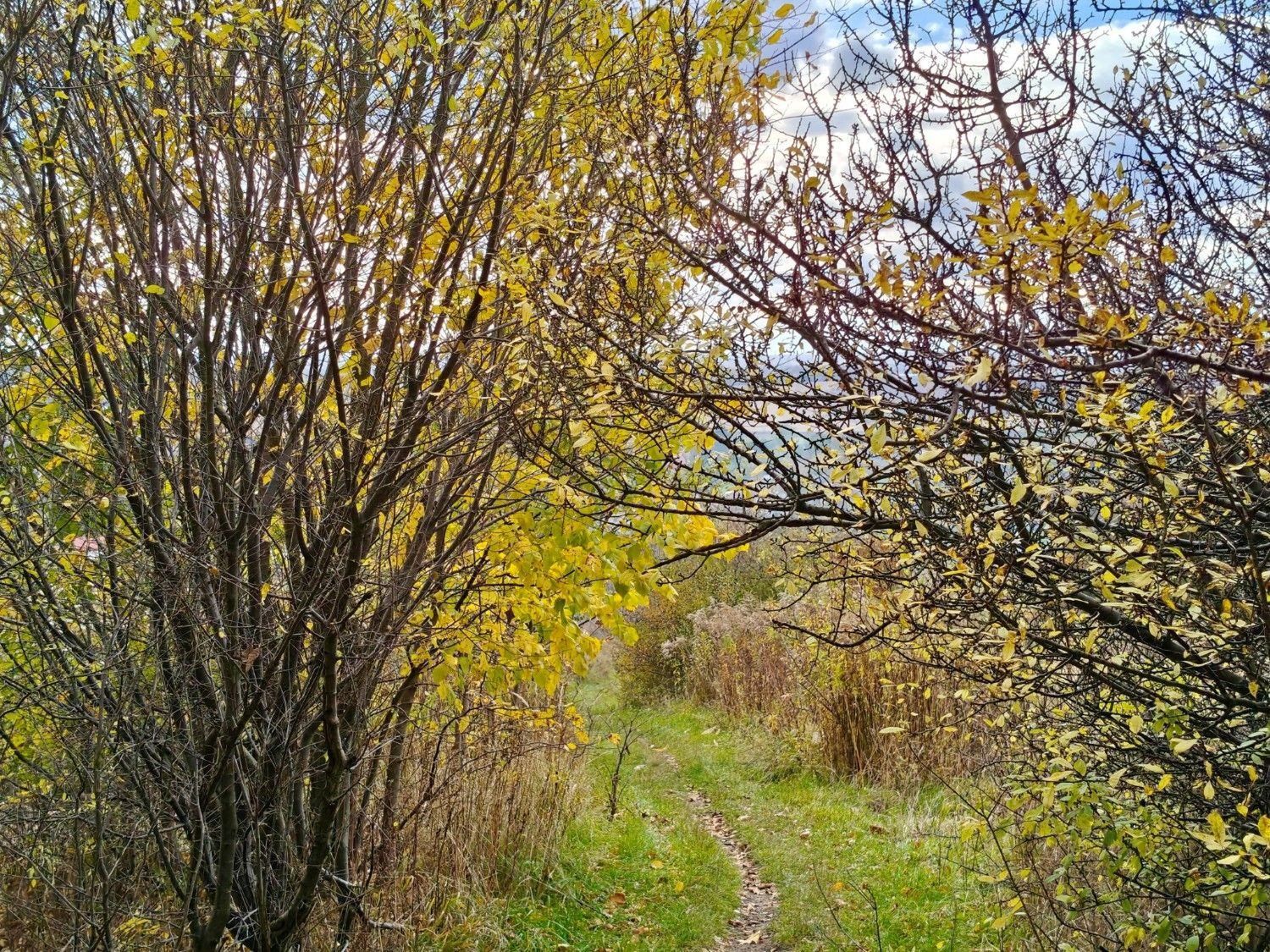 Przewijaj w dół, aby przejść do następnych zdjęć!
