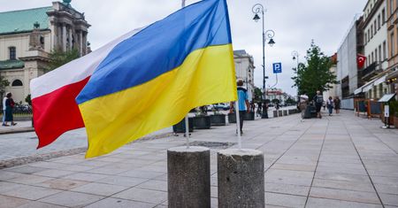 Rekordowy rok. Coraz więcej firm z ukraińskim kapitałem w Polsce