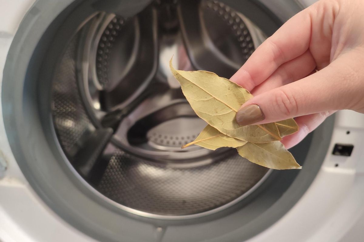 Why throwing three bay leaves into the washing machine can be a game-changer