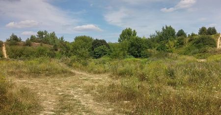 Lublin: Spór o Górki Czechowskie trwa. Aktywiści składają skargę, inwestorzy zaś wnioski o pozwolenia na budowę