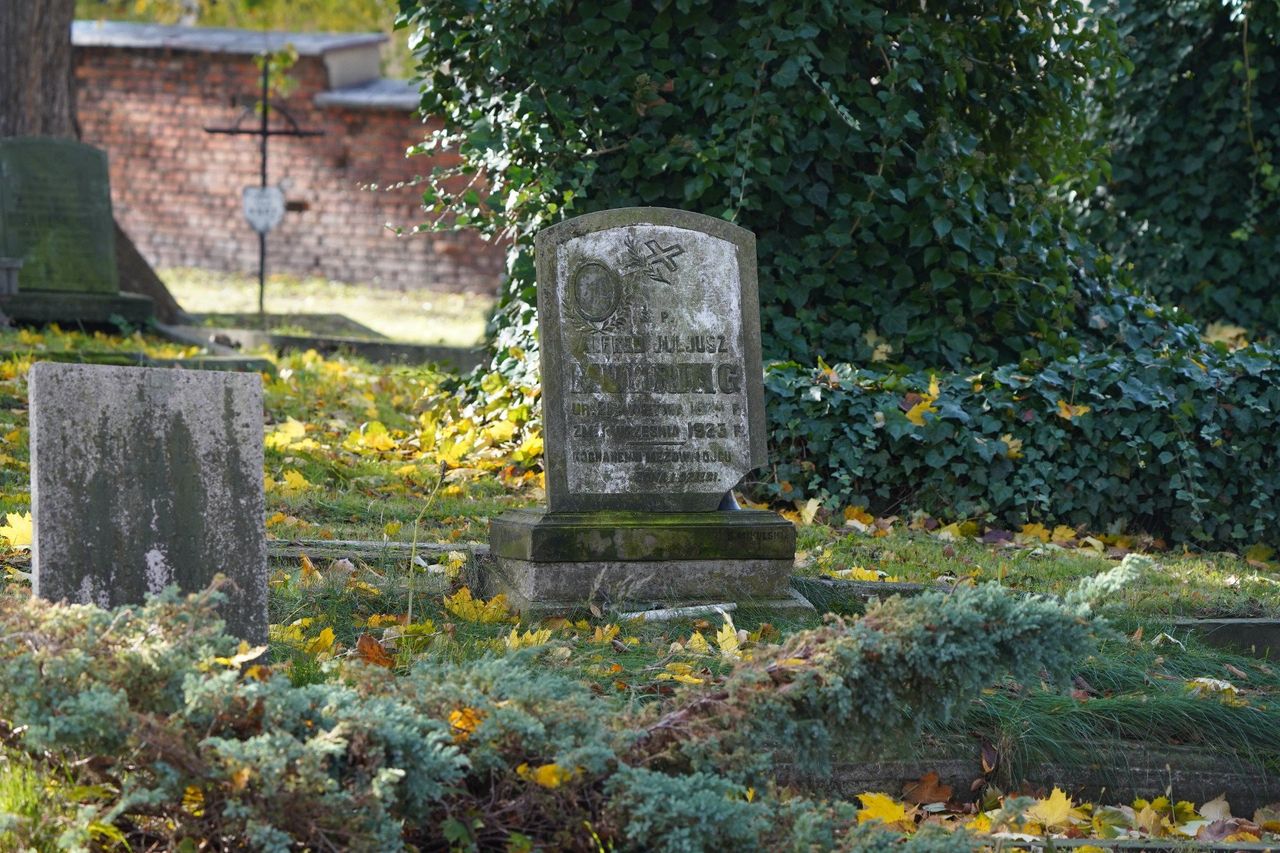 Kalisz: Wśród nagrobków kaliskich ewangelików. Oto najstarszy cmentarz w mieście ZDJĘCIA