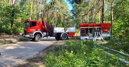 Wielka akcja ratowania łosia. Strażacy potrzebowali kilku godzin