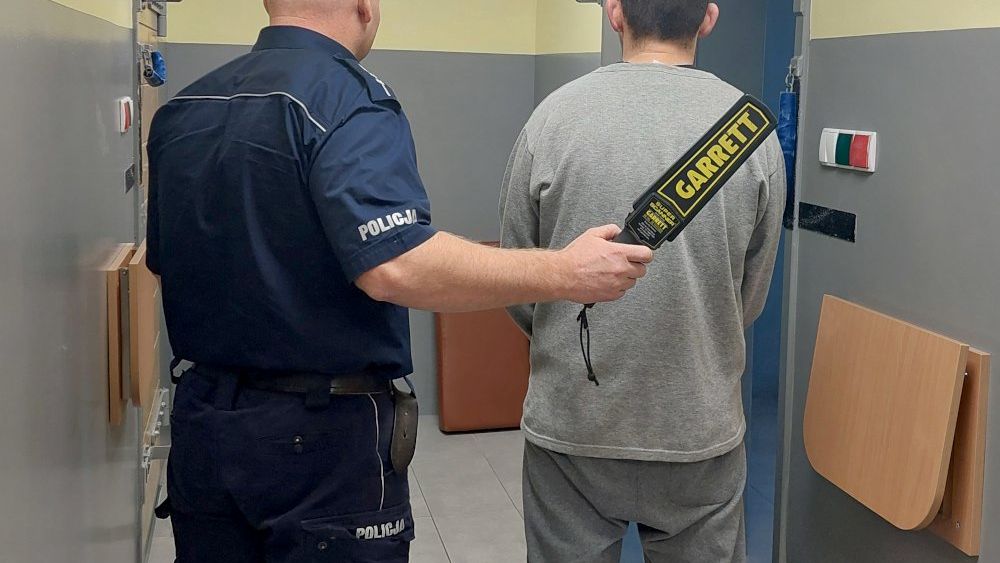 policja