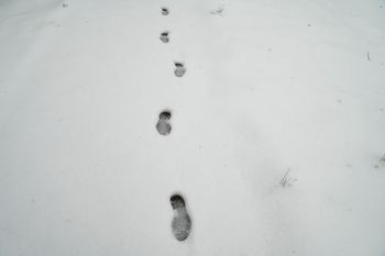 Zdradziły ich ślady na śniegu. Podejrzani w rękach policji