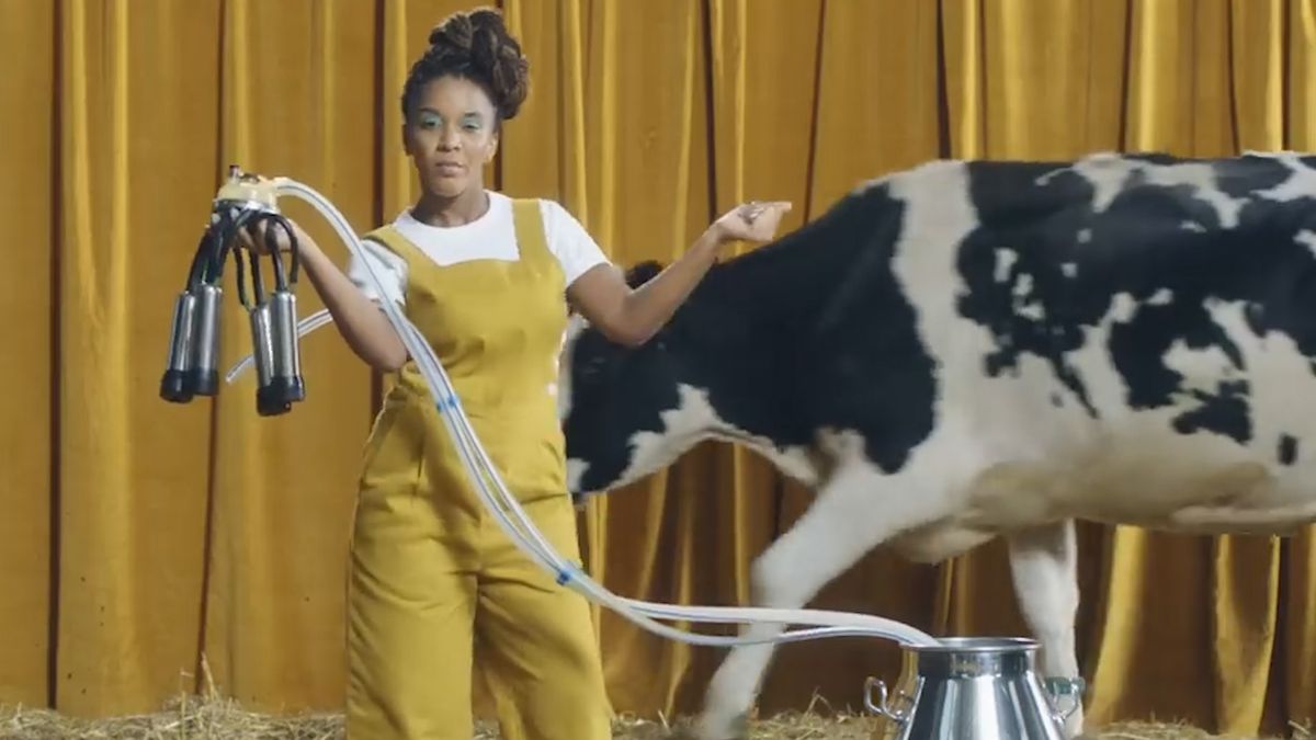 Kontrowersyjna reklama. Matki karmiące wystąpiły na tle krów. 