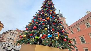 Warszawa: Choinka na Placu Zamkowym już po testach świateł