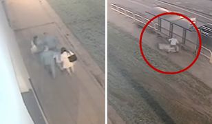 10-latek wspiął się na wiatę i urwał gablotę z rozkładem jazdy na oczach rodziców. Nie zareagowali