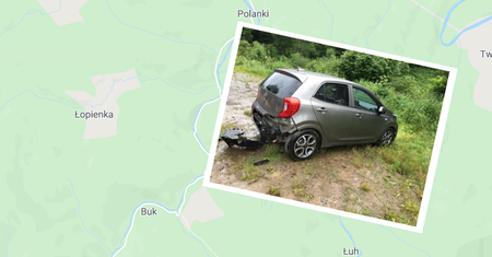 Niedźwiedź dobierał się do kii picanto. Maluch poradził sobie doskonale