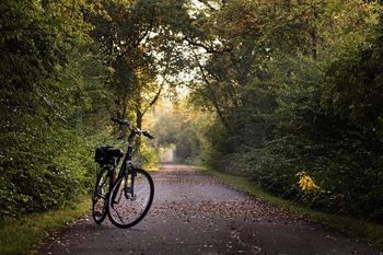 Polanów: Sieć tras rowerowych. Inwestycja wyniesie 4,4 miliona złotych