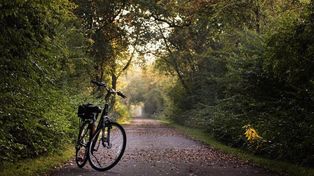 Polanów: Sieć tras rowerowych. Inwestycja wyniesie 4,4 miliona złotych