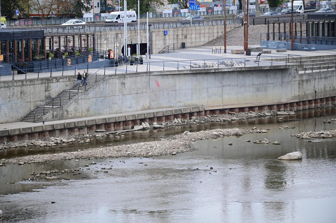 Warszawa: Poziom wody w Wiśle coraz niższy. Padł kolejny niechlubny rekord
