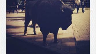 20 edytorów grafiki online, które powinieneś znać 1