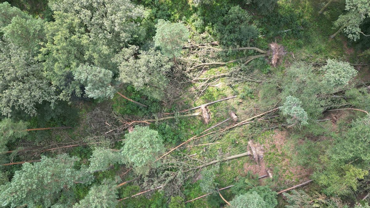 Łamało drzewa jak zapałki. Leśnicy pokazali skutki nawałnic