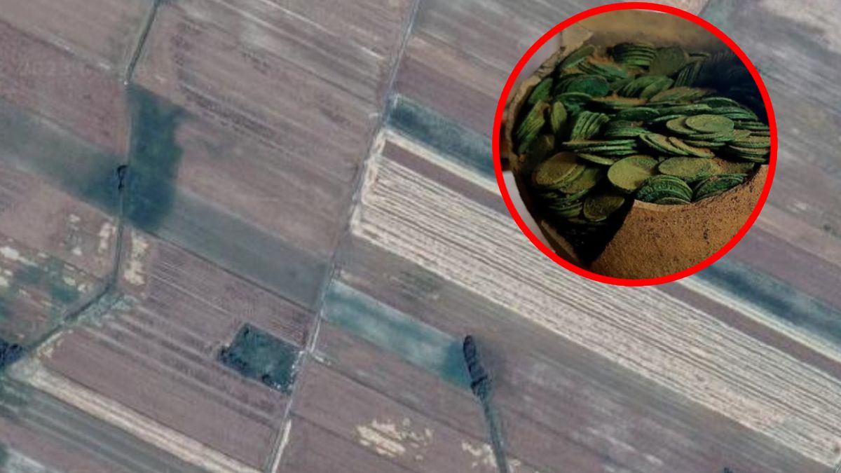 Odkrycie na polu w Zaniówce