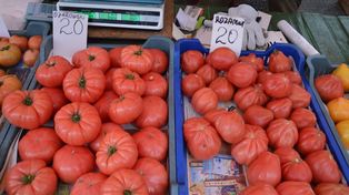 Rynek mleka, owoców i warzyw. UOKiK nie stwierdził nieuczciwych praktyk
