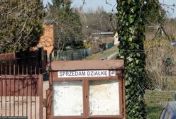 Makabryczne odkrycie na terenie ogródków działkowych