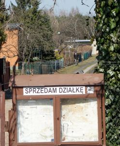 Makabryczne odkrycie na terenie ogródków działkowych