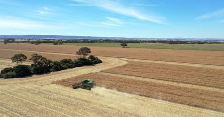 451 tys. hektarów za 70 mln zł. Brytyjczycy kupili gigantyczną farmę