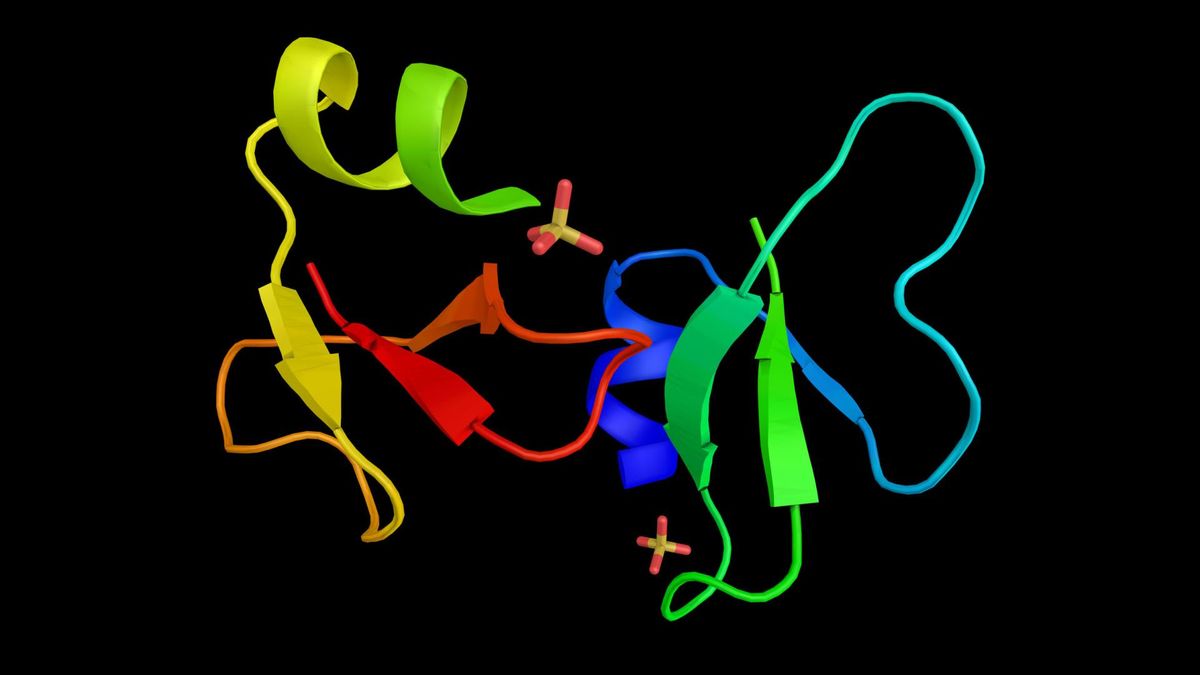 Zdjęcie przedstawia grupę peptydów