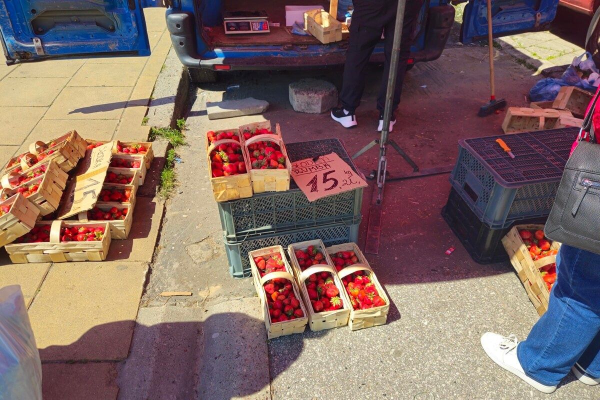 Truskawki po 15 zł/kg