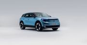 Ford będzie sprzedawać auta spalinowe po 2030 roku. Nagła zmiana planów dyktowana popytem