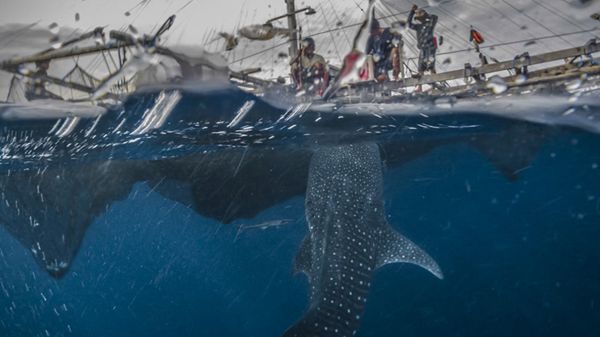 Konkurs Travel Photographer Asia 2016 to piękny przykład na połączenie dwóch pasji – fotografowania oraz podróży 1