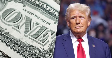 Donald Trump podważył globalną pozycję dolara. Profesor ekonomii ostrzega przed skutkami