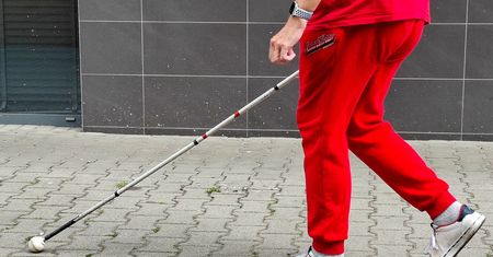 Asystencja osób niepełnosprawnych. Problemy z projektem